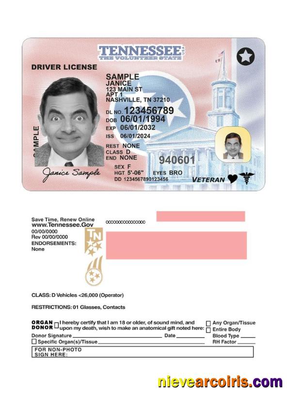 USA Tennessee driving license 2024-present